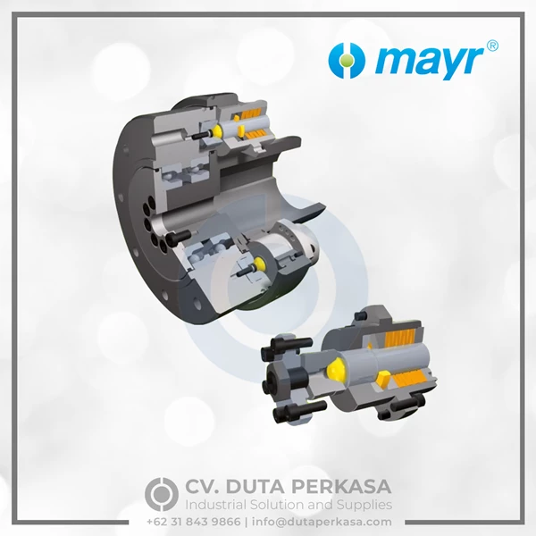 MAYR Torque Limiters Model EAS Element Clutch Series Duta Perkasa