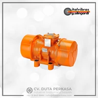 Italvibras Vibrator Motor CDX Series Duta Perkasa